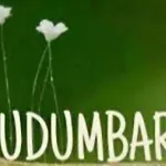 Udumbara